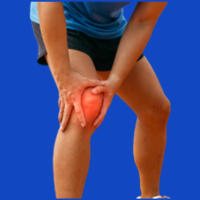 איכות פרימיום